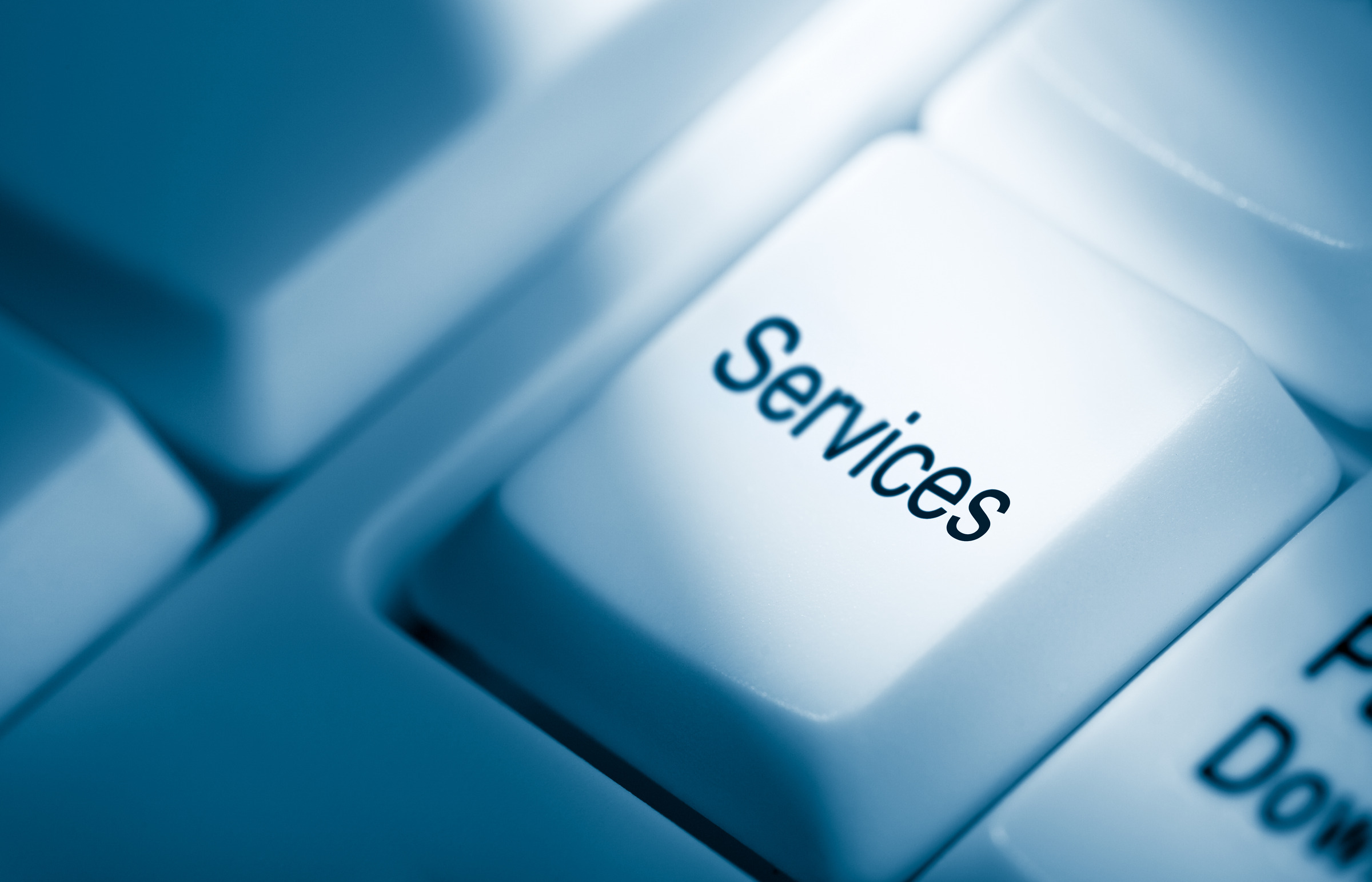 SERVICES